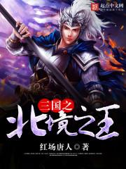 三国之北境之王免费阅读