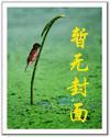 我的老婆是双胞胎李-飞