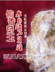 偷香窃玉我的赌石生涯哪里可以看完结