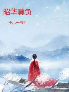 莫负昭华的正确解释