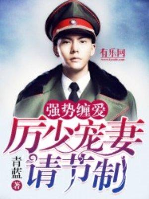 宠妻请节制作者青蓝