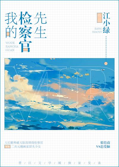 我的检察官先生2k