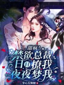 甜疯禁欲总裁日日撩我夜夜梦我 掌心有颗糖