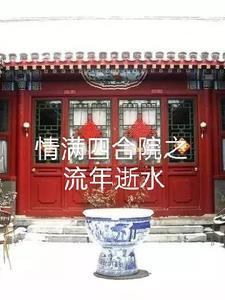 情满四合院25集