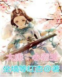 大唐霸气小王爷