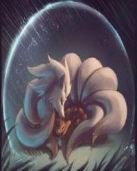 灵猫传攻略谁好点