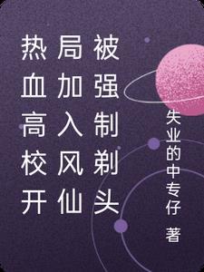 热血高校之凤仙无敌