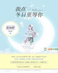 我在冬雪里等你作者