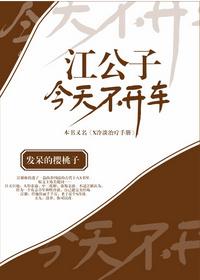 江公子今天不开车没删全文