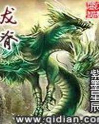 龙脊长枪适合谁用