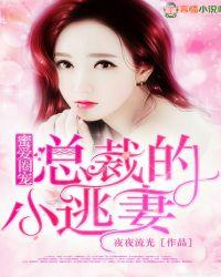 总裁蜜宠小萌妻