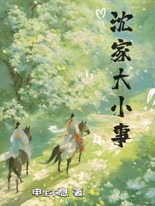 沈家大少爷