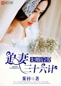 先婚后爱追妻快乐