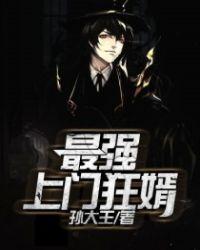 最强上门狂婿叶风女主有几个