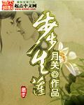 步步生莲月关免费阅读TXT
