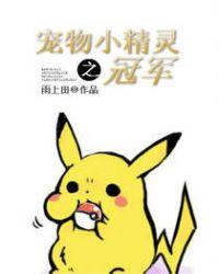 宠物小精灵之冠军正版
