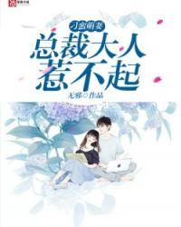 总裁大人惹不得齐晓