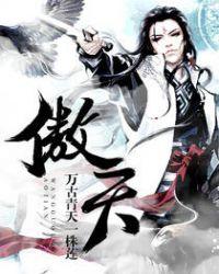 傲天汉化组
