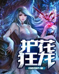 护花狂龙TXT免费全本