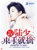 军门霸宠腹黑少帅溺爱狂妻