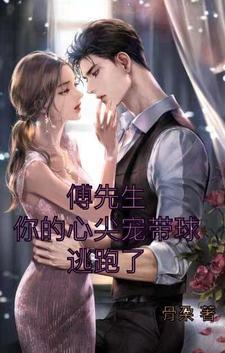 傅先生的心尖宠全集