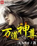 万道神尊等级境界