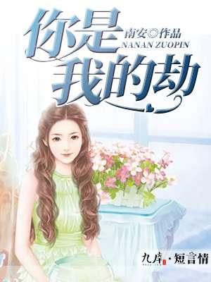 你是我的劫数不是幸福