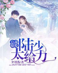 总裁掠爱成婚免费阅读