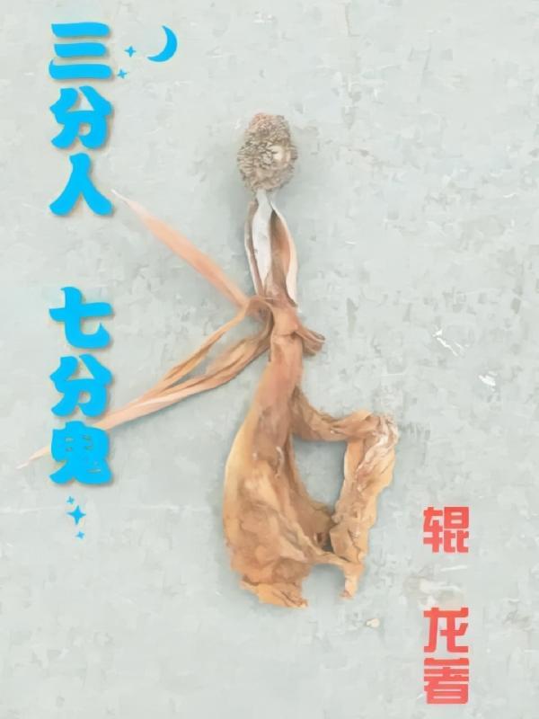 七分人气三分鬼气