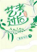 艺考过后文化课在哪学