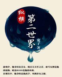 纵横第二世界百科