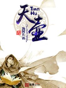 天壶象山乡村振兴一体化项目