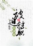 被迫转职的剑修完整全文免费