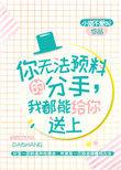 你无法预料得分手