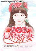 权少撩妻成瘾