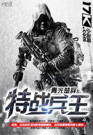 特战兵王张峰免费阅读