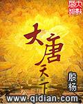 大唐天下多少年