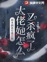副本大佬