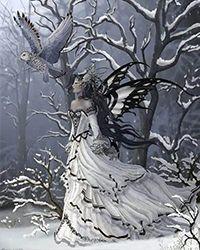 龙与魔法师在线阅读
