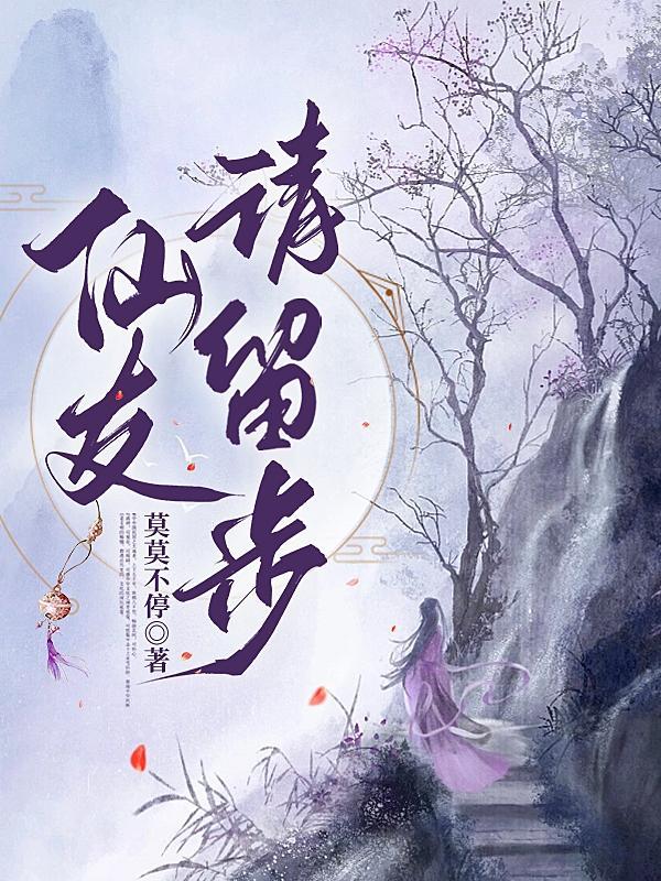 道友请留步神仙心斋