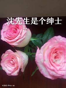 沈先生叫什么名字