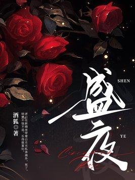 盛夜玫瑰林冉扮演者