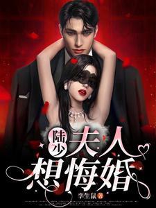 陆少夫人要离婚 如素