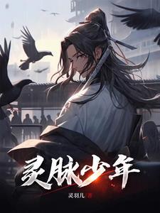 灵脉科技