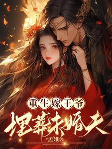 重生嫁宁王
