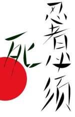 忍者必须死s+
