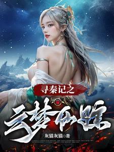 寻秦记星云身份