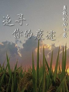追寻你的足迹为题写一篇作文