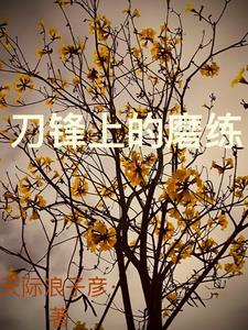 刀锋上的舞者