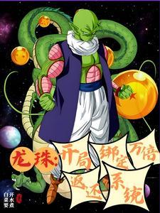 龙珠系统流